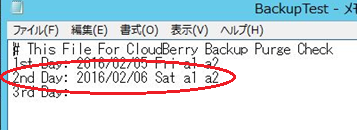 160328_CloudBerry_34